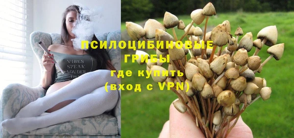 герыч Сатка