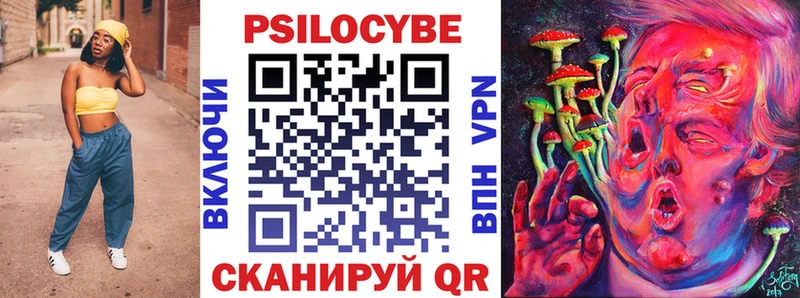 даркнет состав Болотное Псилоцибиновые грибы мицелий