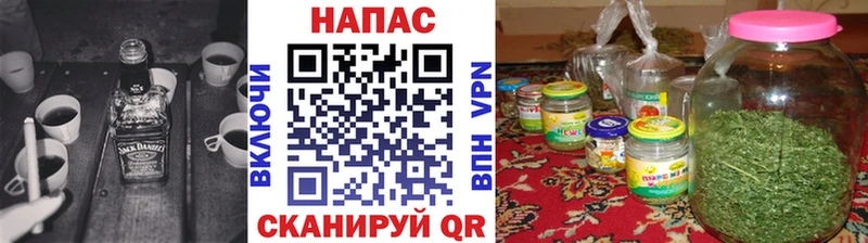 где продают   Болотное  Каннабис SATIVA & INDICA 